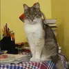 Отзыв от Алевтина Грачева
